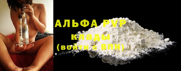стафф Алексин