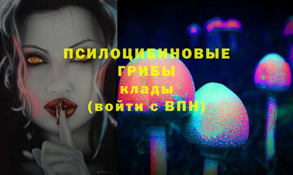 ПСИЛОЦИБИНОВЫЕ ГРИБЫ Алексеевка