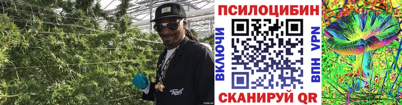Псилоцибиновые грибы мухоморы  Дзержинский 