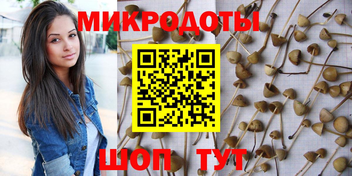 Галлюциногенные грибы Psilocybe Дзержинский