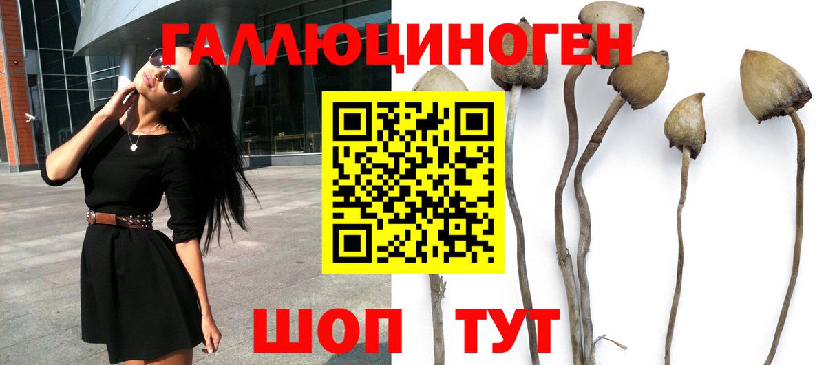 Галлюциногенные грибы Cubensis  Псилоцибиновые грибы Magic Shrooms  Дзержинский  Вход с VPN 